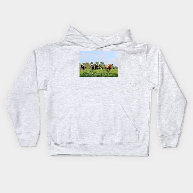 herd of cows Kids Hoodie by pinkal